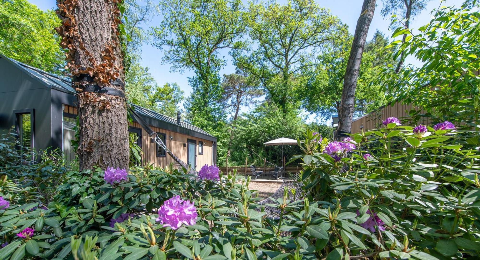 Tinyhouse Grasmus Villa Nunspeet Dış mekan fotoğraf